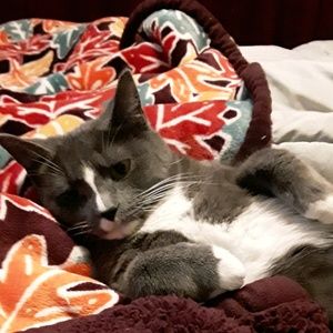 Meet your Posher, Brandy